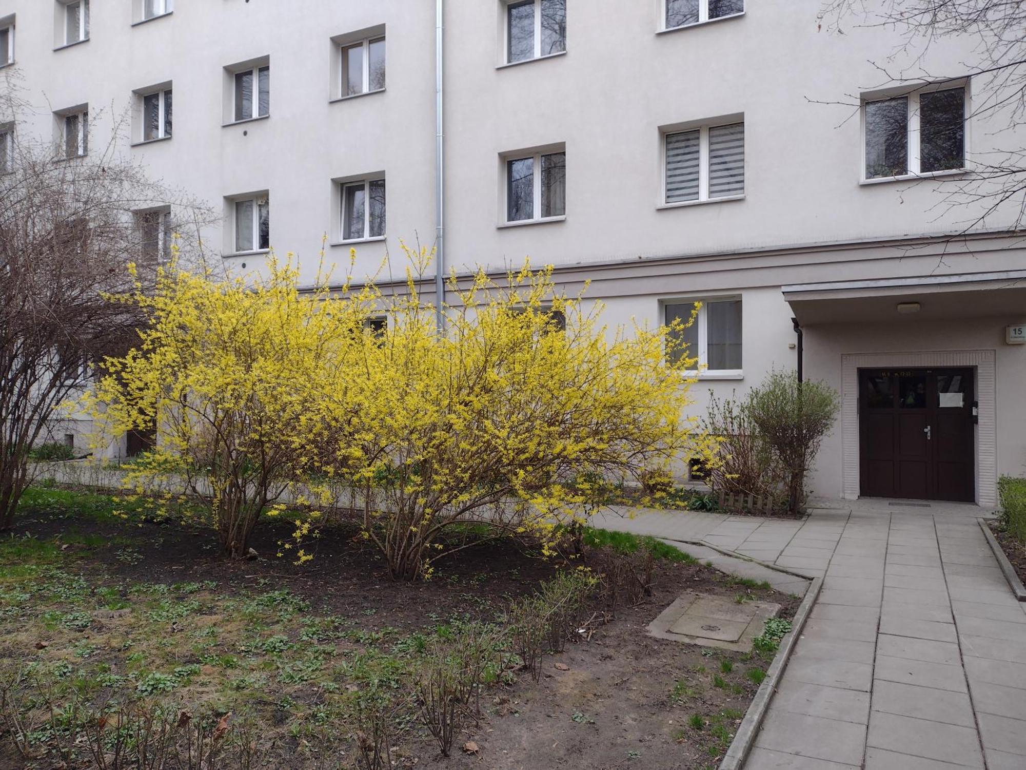 Cracowapart Ignacio A Krakow Bagian luar foto